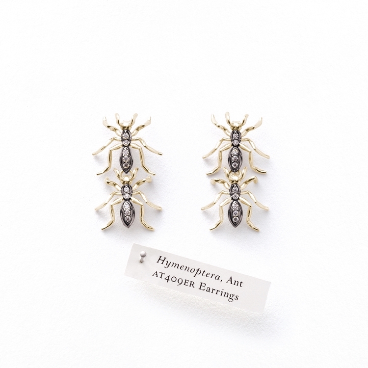JHerwitt_Ant-earrings2