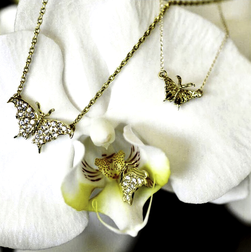 JHerwitt butterflies on orchids